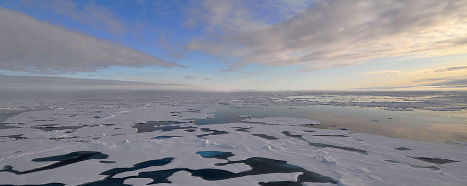 Arctic Ocean sea ice sea ice in the Arctic Ocean