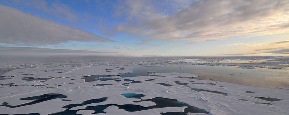 sea ice in the Arctic Ocean