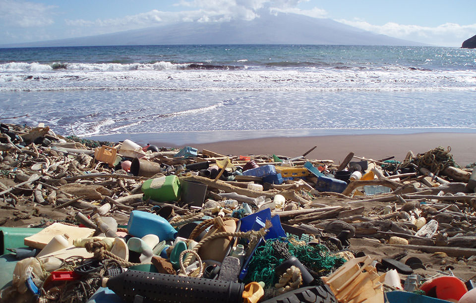 A classic example of a catcher beach along the shores of Hawaii.