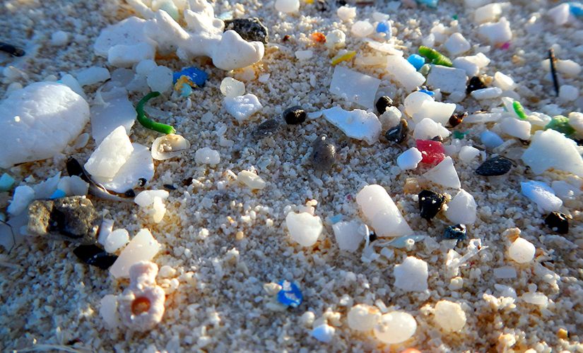 What are microplastics?