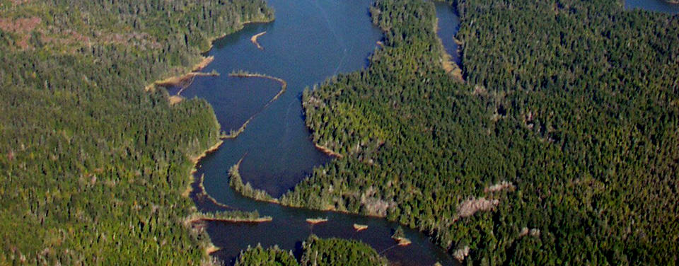 What is a slough? aerial view of South Slough National Estuarine Research Reserve (image credit: South Slough NERR)