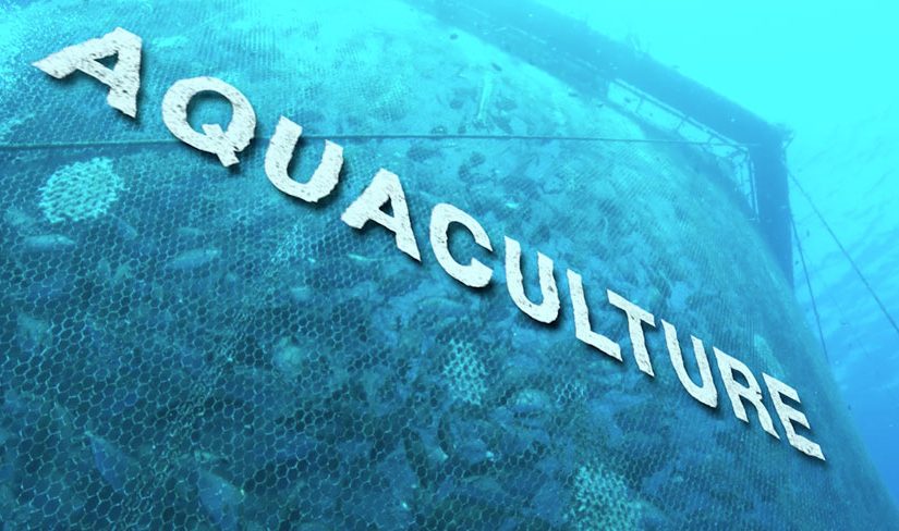 What’s aquaculture?