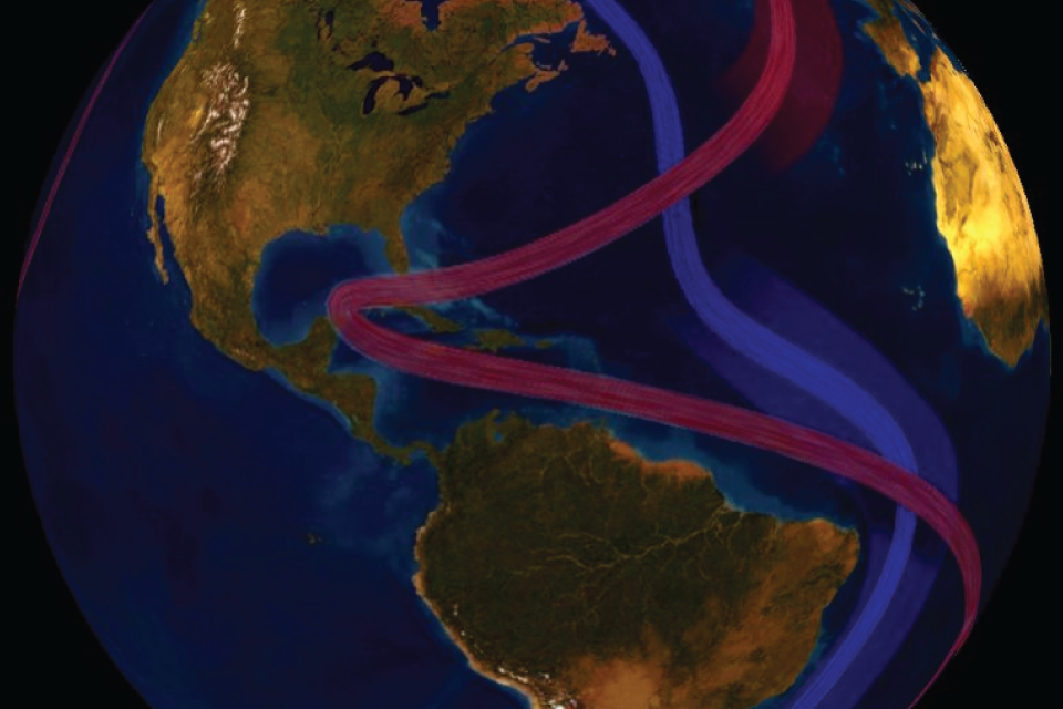 The global conveyor belt, shown here, circulates cool subsurface water and warm surface water throughout the world.