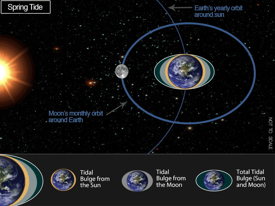 graphic showing orbit of moon around Earth, illustrating spring and neap tides